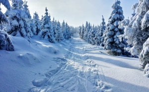 winter, mountains, snow, view, trees, wood, white, blue, czech, hiking trails, sun, stok, biel, frost, nature, trail, sky, forest