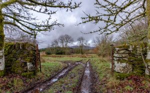 gate, farm, tracks, farm, scotland, winter, december, clouds