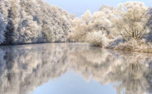 trees, hoarfrost, winter, december, river, lake, nature, lanscape