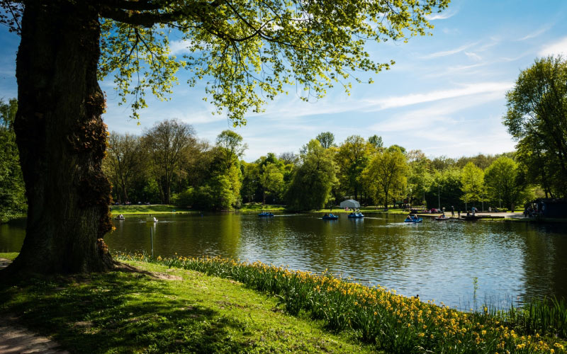 nature, boats, grass, lake, landscape, outdoors, park, river, scenic, trees, water, watercrafts