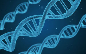 dna, string, biology, 3d, biotechnology, chemistry, medicine, research, medical, science, microbiology, genetic, discovery, genes, blue, 3d