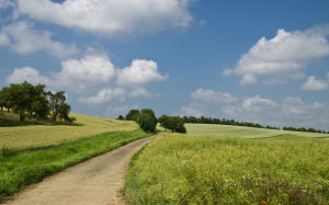landscape, trees, nature, grass, horizon, clouds, sky, field, farm, meadow, summer, road, path, pasture, agriculture, grassland, country