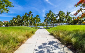 miami, summer, beach, vacation, travel, water, nature, tropical, sea, ocean, palms, paradise, florida, holiday, sky, exotic, usa, green, hawaii, leaf, south, city, blue