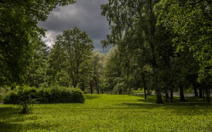 before, storm, rain, landscape, park, clouds, sky, trees, city, trees, summer, nature