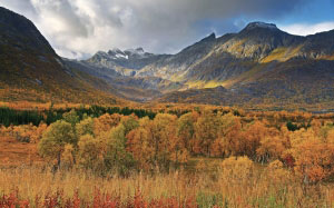 autumn, view, gullesfjordbotn, troms, norway, september, landscape, mountains, forest, nature
