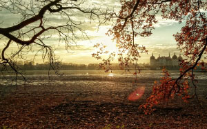 trees, nature, branches, sunset, sunlight, morning, leaf, dawn, dusk, pond, evening, autumn, park, castle, season, germany, saxony, dresden, park, palace, landscape