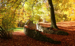 trees, nature, forest, branches, sunlight, leaf, autumn, park, ruin, season, stairs, fall, foliage, castle, park, stones, ludwigslust parchim, woody