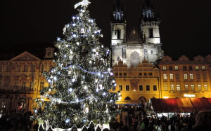 christmas tree, winter, lights, night, town, city, downtown, evening, decoration, holiday, landmark, facade, church, prague, christmas, fir, lighting, square, market, christmas. xmas, new year