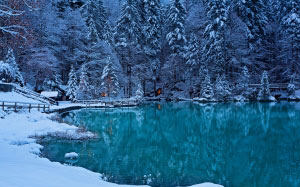 winter, snow, forest, landscape, cold, trees, nature, mountain, frost, lake, white, water, blue, river, season, fir, snowy, pine, evergreen