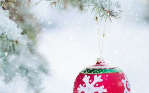 christmas tree, branch, snow, winter, pine, decoration, weather, holidays, xmas, christmas, new year, fir, christmas tree, season, festive, ornament, christmas decoration, spruce, ball