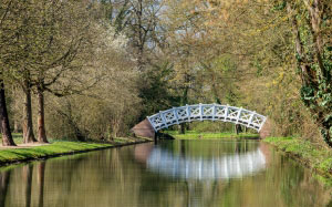 schwetzingen, germany, schwetzingen castle gardens, chinese bridge, palladio bridge, canal, spring, river, park