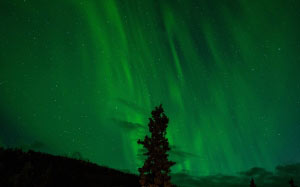 silhouette, sky, night, green, aurora, aurora borealis, northern, alaska, northern lights, borealis, phenomenon
