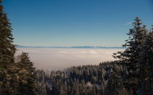 landscape, trees, nature, forest, wilderness, mountain, snow, winter, cloud, sky, sunlight, morning, season