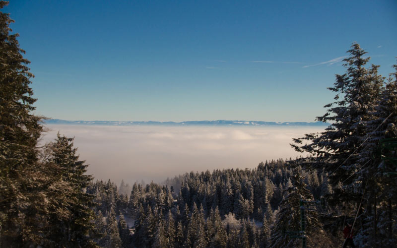 landscape, trees, nature, forest, wilderness, mountain, snow, winter, cloud, sky, sunlight, morning, season