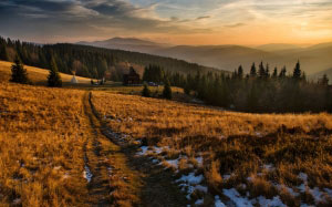 landscape, trees, nature, forest, wilderness, mountain, snow, winter, cloud, sunset, sunlight, hill, valley, evening, season, rural