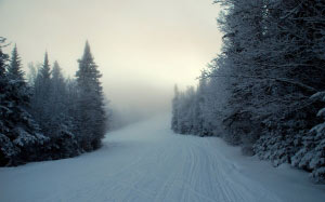 winter, snow, landscape, forest, trees, cold, nature, sky, mountain, frost, white, road, blue, pine, fir, spruce, evergreen