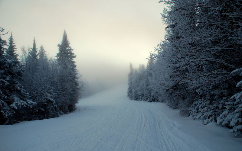 winter, snow, landscape, forest, trees, cold, nature, sky, mountain, frost, white, road, blue, pine, fir, spruce, evergreen