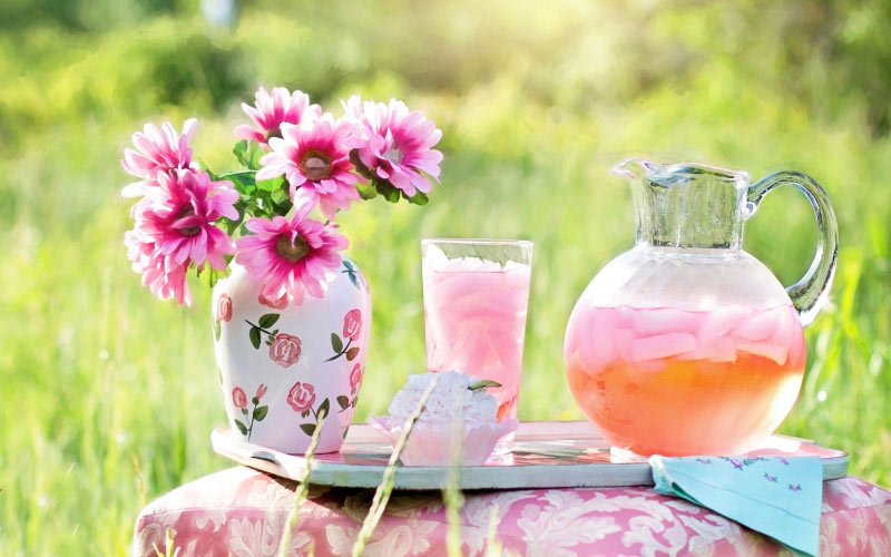 cold, plants, flowers, summer, food, spring, beverage, drink, pink, thirsty, picnic, outdoors, refreshment, flowering, lemonade