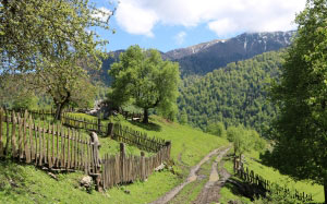 village, sakhvlari, borjomi-kharagauli national park, nature, summer, mountains, forest, green