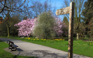 arrow, countryside, direction, footpath, hiking, landscape, nature, outdoor, path, post, sign, signpost, spring, trail, trees, walk, way, wood