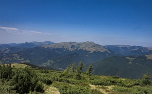 mountains, forest, green, landscape, nature, outdoor, summer, spring, sky