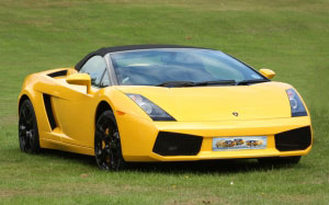 sportscar, car, sports, racing car, racing, yellow, ferrari, speed, vehicle