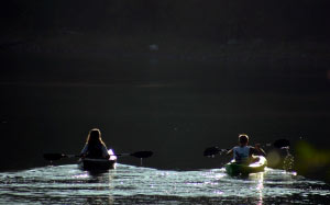kayaks, lake, water, nature, canoe, boat, sport, summer, river, vessel, park, gray sports, gray boat, gray park