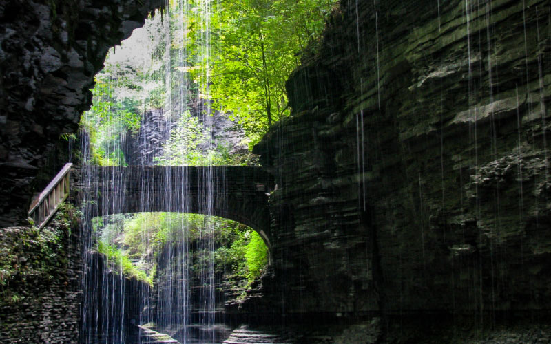 leaves, nature, summer, water, waterfall, rocks, forest