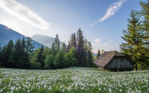 landscape, nature, grass, wilderness, mountain, field, farm, meadow, prairie, hill, flowers, valley, rural