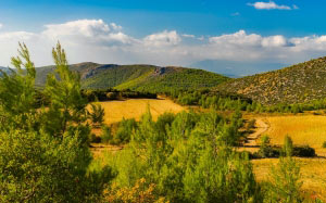 landscape, trees, nature, forest, wilderness, mountain, sky, meadow, countryside, hill, valley, rural, autumn, greece, rural area