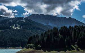 green, trees, island, cloudy, sky, pine, clouded, wood, mountains, forest