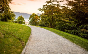 grass, trees, sunset, nature, evening, path