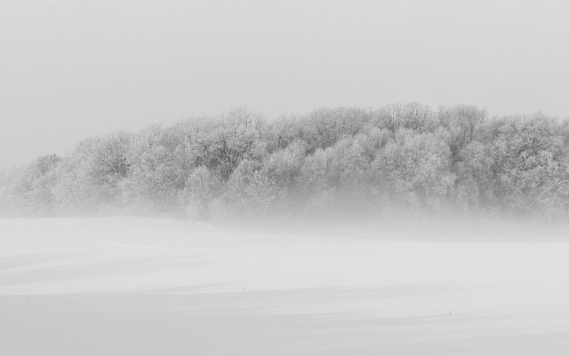 winter, forest, cold, dawn, fog, foggy, frost, frozen, haze, ice, landscape, mist, nature, outdoors, panorama, panoramic, road, scenic, season, snow, trees, weather, woodland, pine, evergreen, blizzard, coniferous