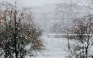 snowy, street, white, town, city, winter, snow, snowing, storm, blizzard, trees, nature, day, outdoors