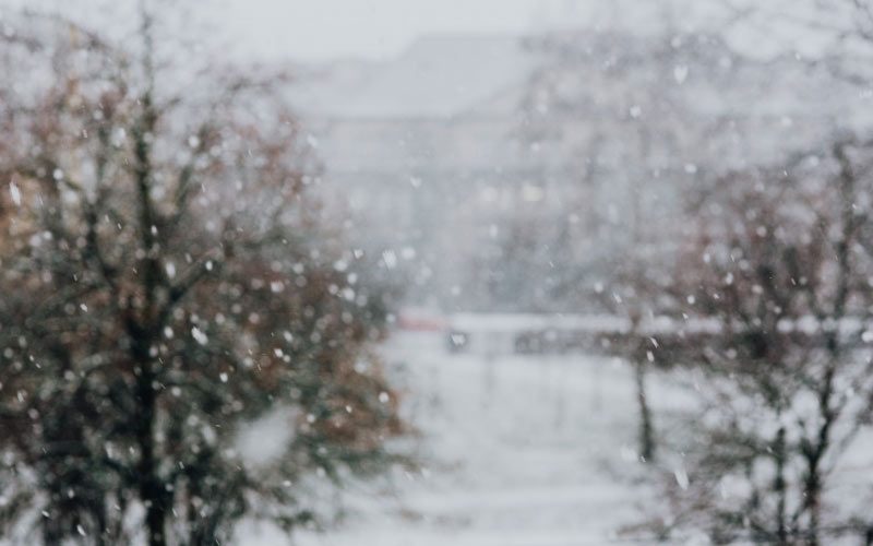 snowy, street, white, town, city, winter, snow, snowing, storm, blizzard, trees, nature, day, outdoors