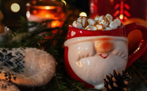 christmas, xmas, tableware, dishware, drinkware, new year, cup, lighting, serveware, christmas decoration, porcelain, teacup, pottery, table, holidays, christmas eve, sweetness, plate, winter, conifer, twig, evergreen, ceramic, still life, drink, fir, pine
