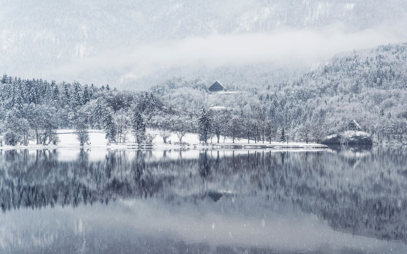 fog, forest, lake, landscape, mountain, snow, snowing, trees, winter, water, cold, nature, reflection, tranquility, outdoors