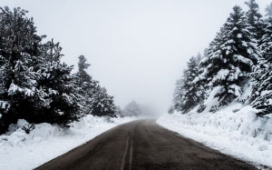 road, trees, forest, snow, winter, asphalt, landscape
