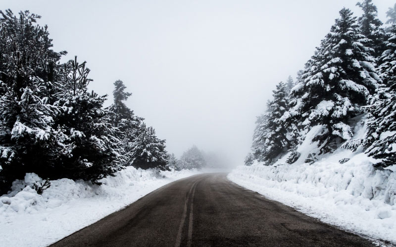 road, trees, forest, snow, winter, asphalt, landscape
