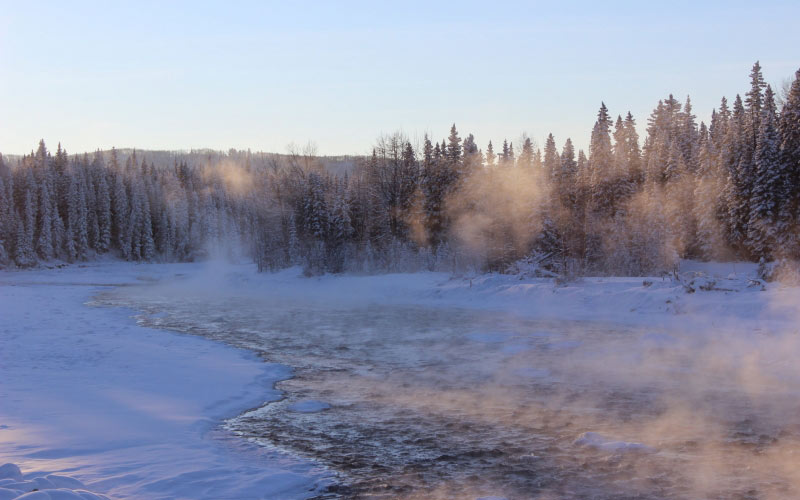 cold, fir trees, fog, forest, frozen lake, landscape, mist, nature, outdoors, river, snow, trees, winter, tree, frost, scenics, sky, coniferous tree