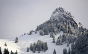 nature, alps, mountains, snow, trees, winter, cold, sky, mountain, coniferous, mountain peak