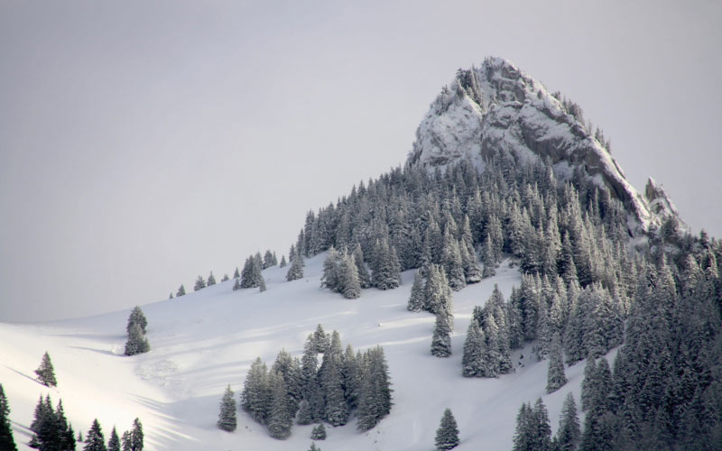 nature, alps, mountains, snow, trees, winter, cold, sky, mountain, coniferous, mountain peak