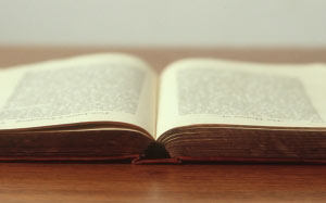 writing, book, novel, read, open, words, text