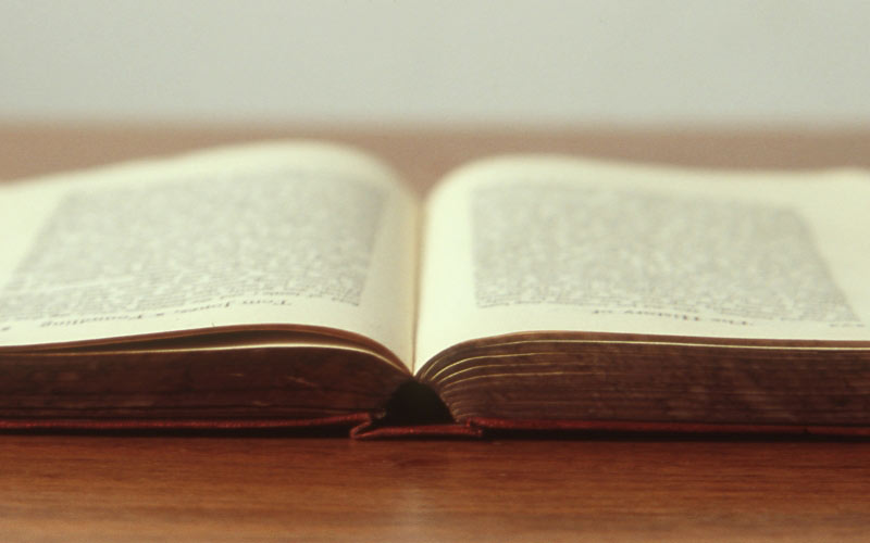 writing, book, novel, read, open, words, text