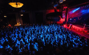 musician, music, event, crowd, celebrate, entertainment, people