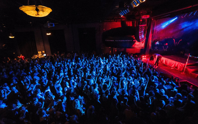 musician, music, event, crowd, celebrate, entertainment, people