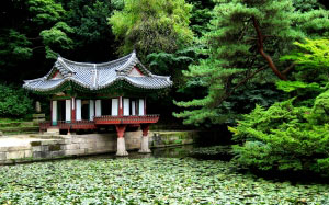garden, park, nature, korea, seoul, trees