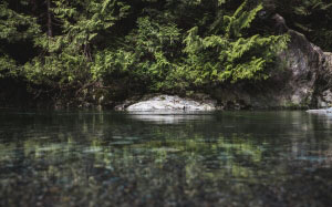 reflection, rocks, trees, clear, water, pond, lake, river