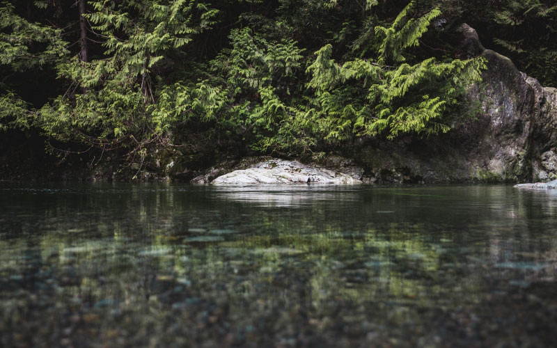 reflection, rocks, trees, clear, water, pond, lake, river