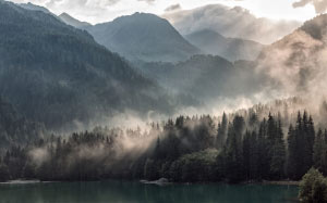 lake, lakeside, antholz, sun rays, fog, water, cottage, trees, forest, nature, landscape
